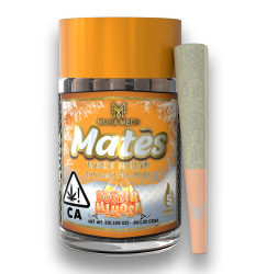 672dd89ddac1b610dc0d62a7_MM-Mates-HR-Mimosa.png